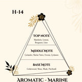 MARTIN LION H14 - AQUA EAU DE PARFUM 50ML | AROMATIC - MARINE