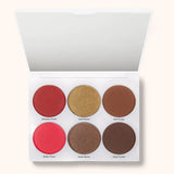 Absolute New York Medium to Dark Icon Face Palette