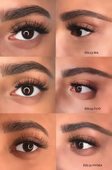 Divine Magic Quick Lashes