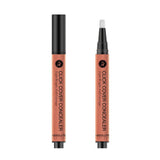 Absolute New York Click Cover Concealer