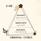 MARTIN LION U02 - PURE ELVA EAU DE PARFUM 50ML | ORIENTAL - CITRUS