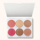 Absolute New York Fair To Light Icon Face Palette
